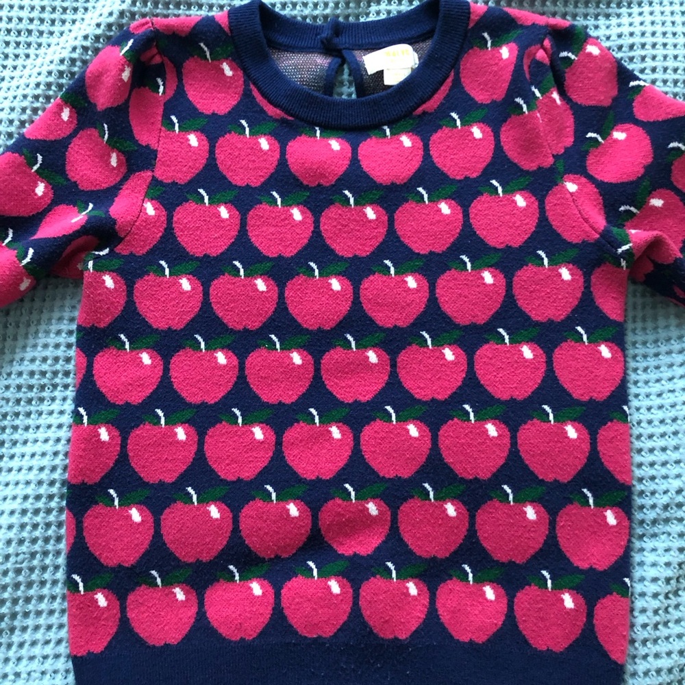 Anthropologie Pink and Navy Apple Sweater Top
